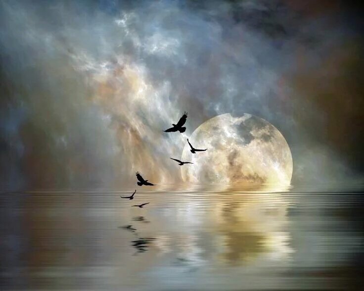 Fiorella0003's tweet image. 