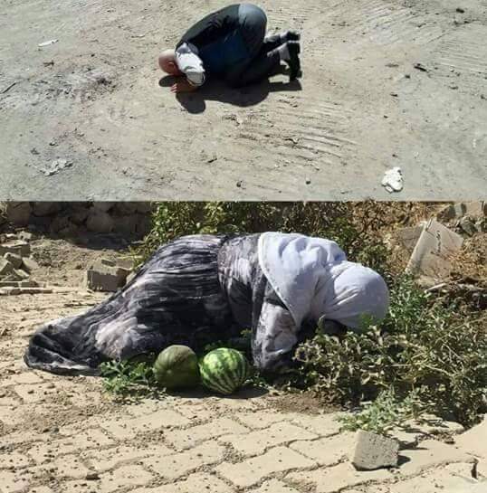 #DünyaBarışGünü