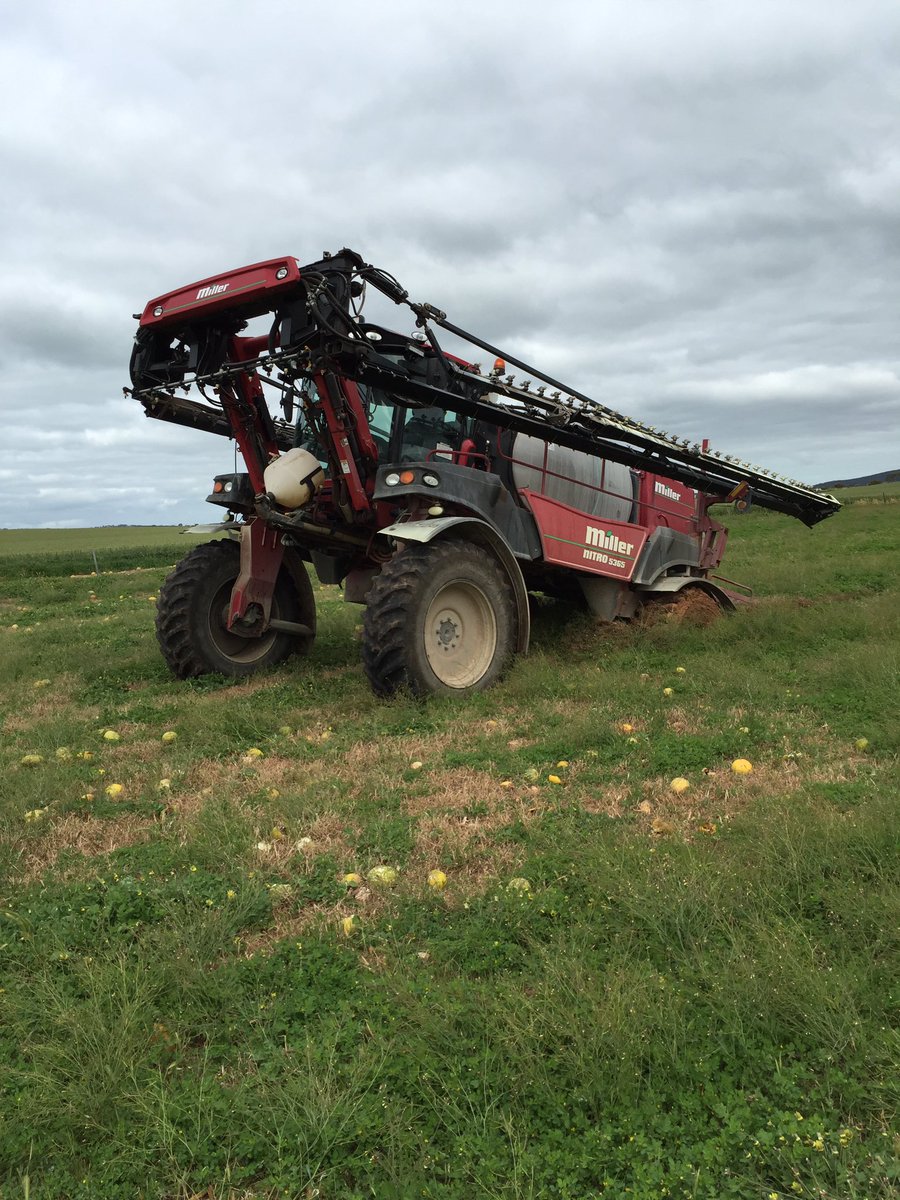 Jordanswan446's tweet photo. The nitro decided it needed a sit down today while the old boy was bombing out a pasture #popamono https://t.co/HZt1puMXcb