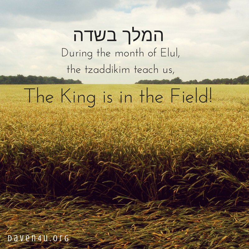 Daven4UIsrael's tweet photo. Have you gone out to greet and pour your heart out to the King yet? #elul #roshhashana #hitbodedut #daven4u #torah #israel #kingisinthefield https://t.co/kmJajYu2UY