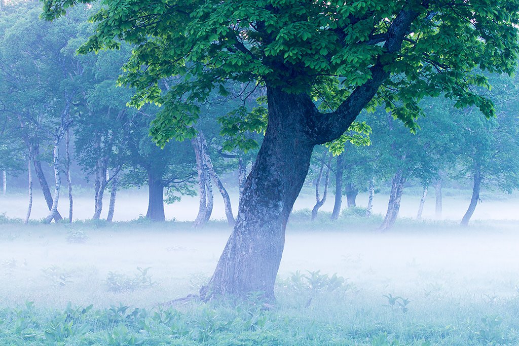 Datascrip_Care's tweet image. Tips Foto kabut,simak artikel ini ya :)
#Tipstrik #Photography #Canon @Infofotografi @canon_indonesia #fotografi
facebook.com/DatascripServi…