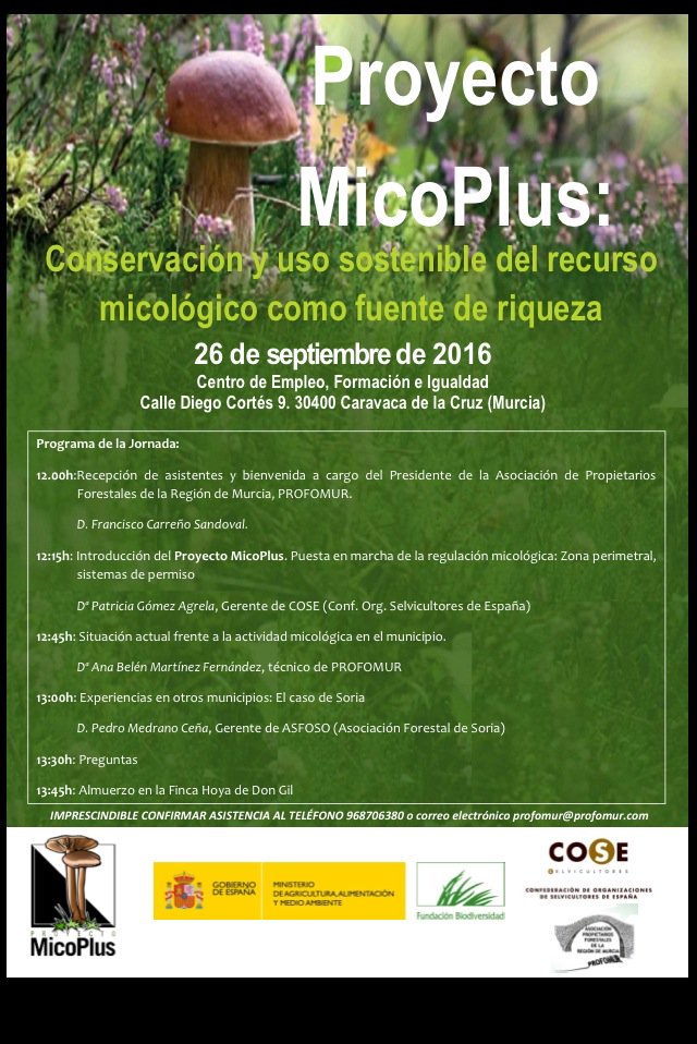 Jornada de Micología: Proyecto MicoPlus el lunes 26 de septiembre a las 12 horas en el Centro de Empleo, Formación e Igualdad de Caravaca