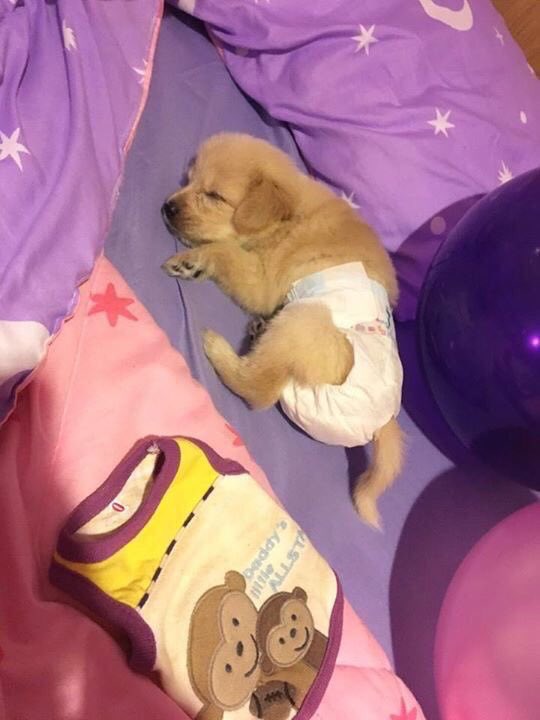 SEXYSCORPlO's tweet image. mom: when are u giving me a grand child? 

me: