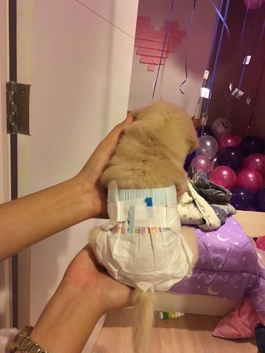 SEXYSCORPlO's tweet image. mom: when are u giving me a grand child? 

me: