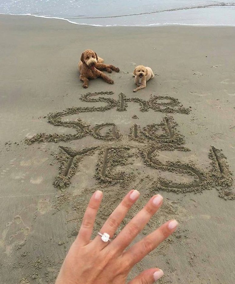 Wow. Great post @ohsoperfectproposal. 💍 What a sweet way to announce your engagement. 🎉📷 @… bit.ly/2ctoaR0