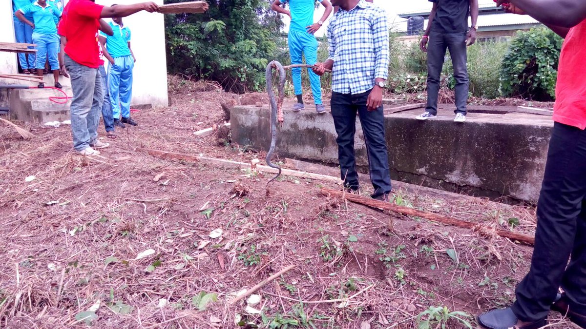 Abocco's tweet photo. @RotaractUhas dey force! They have been cleaning the Volta regional hospital today. #NVDay16 #HoCity  https://t.co/HEudaMv1KT