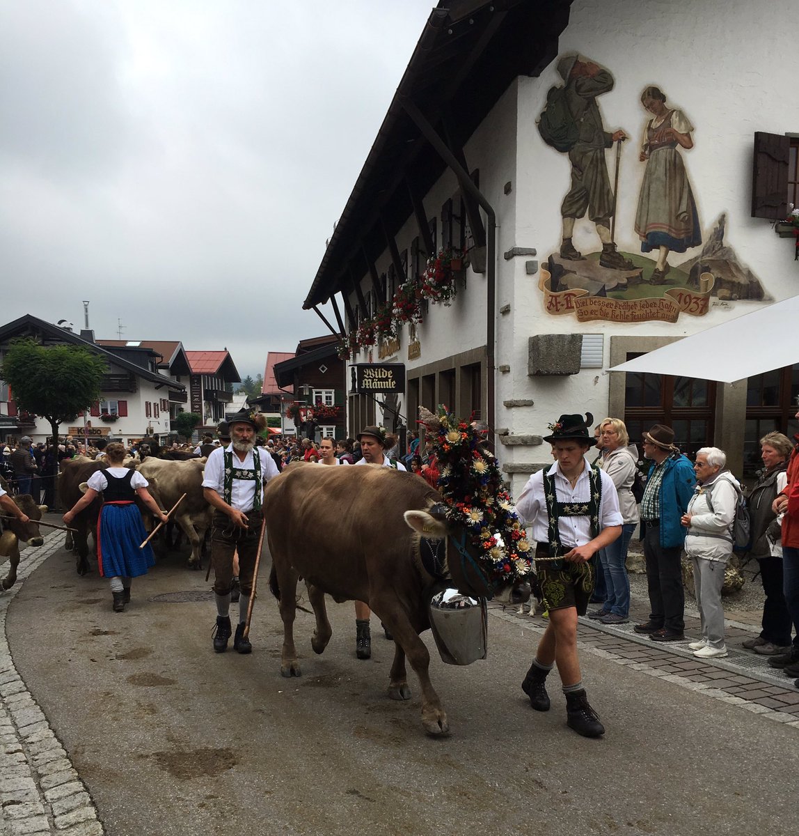 brookleeh95's tweet photo. 🇩🇪🐮🌸ALMABTRIEB!!!!🌸🐮🇩🇪 

#nebehorntrophy2016 #almabtrieb2016 #oberstdorf https://t.co/wLii4Tl06o