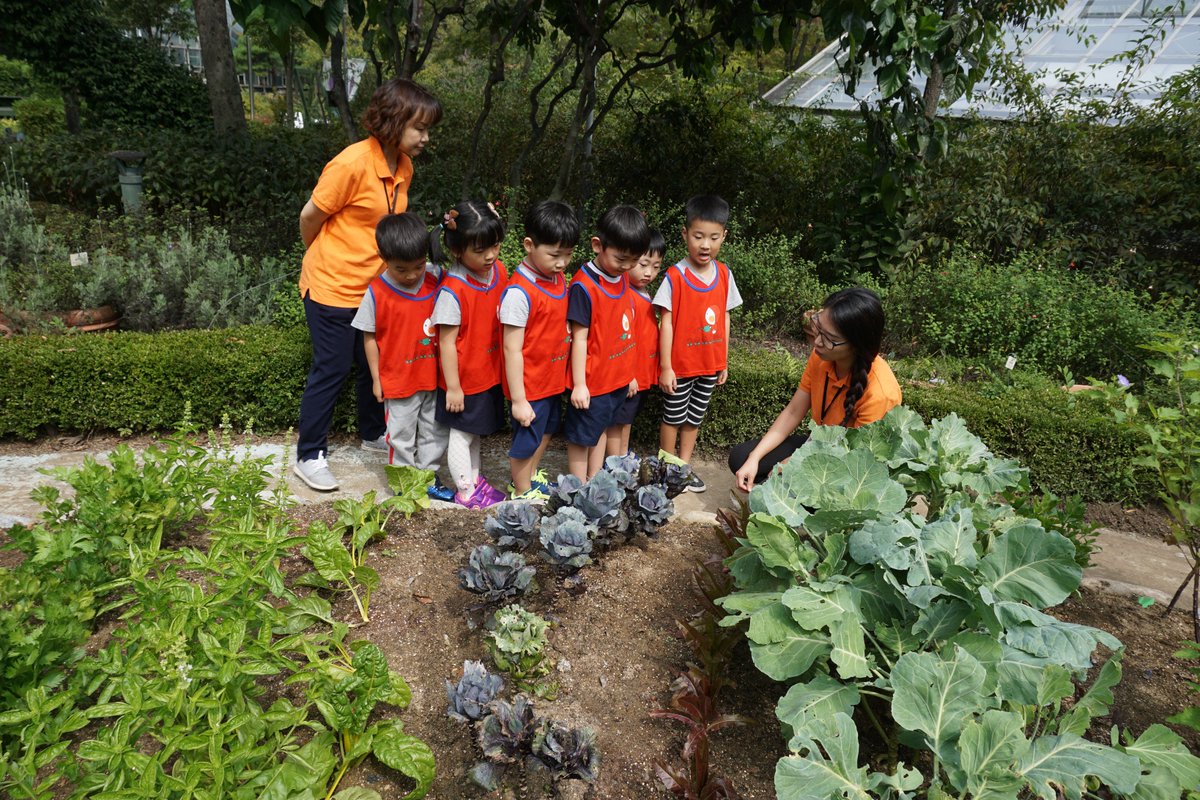 #성남시 어린이급식관리지원센터에서 9월 21일 식물원 특화사업 채소야! 베프(vegetable friend)하자! 첫날 수업이 진행되었습니다. 참여해주신 분들 감사합니다.^^