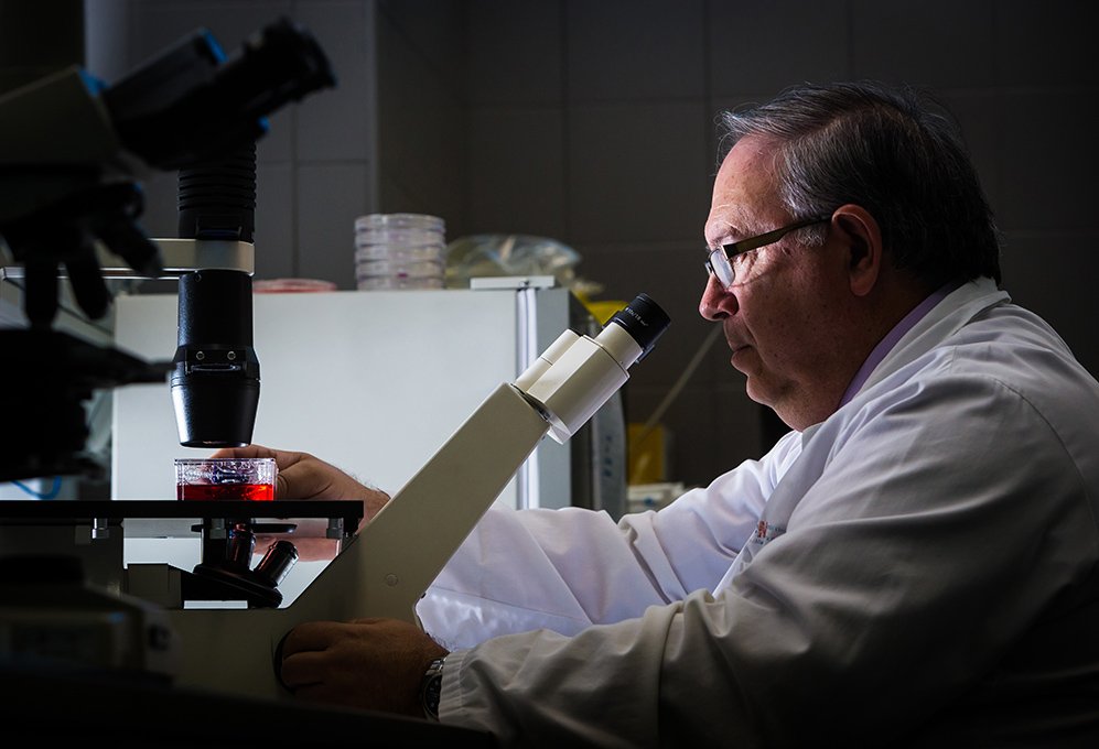 Conoce a los protagonistas, aquellos que han hecho posible #estudiomédula <a href="/frdelpino/">Fundación Rafael del Pino</a> <a href="/ccifuentes/">Cristina Cifuentes</a> <a href="/ahuertasmejias/">Antonio Huertas</a> youtu.be/Q-LXy67GT7E