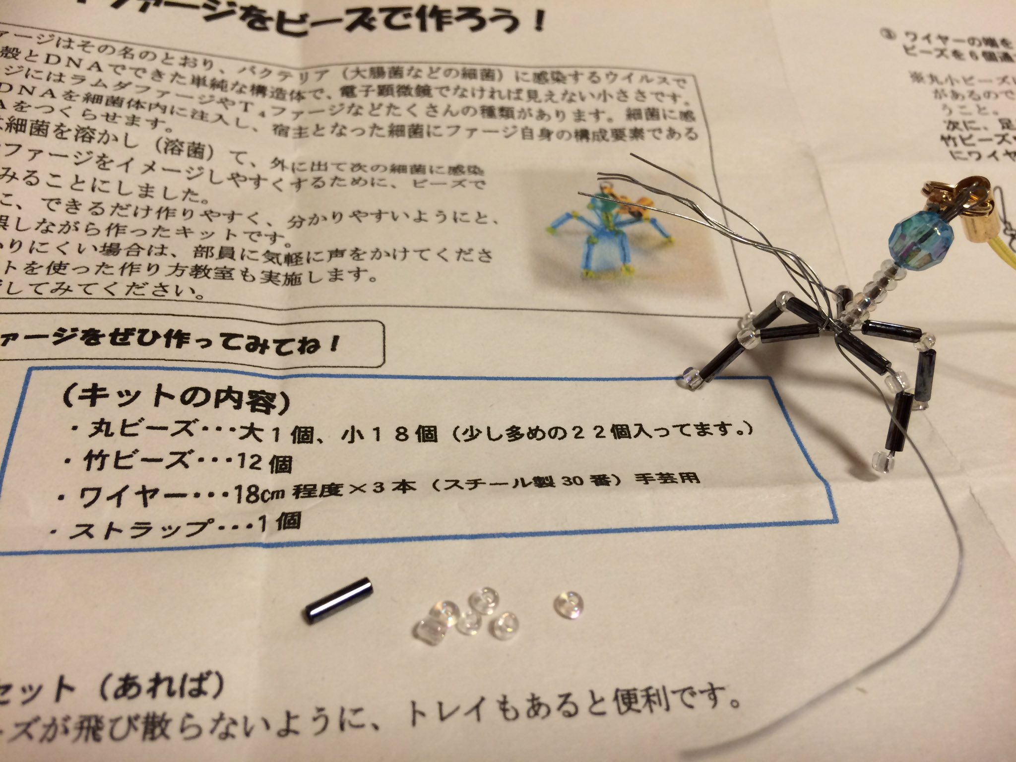 ファージストラップセット Qiuvvtgnh2 ハンドメイド Www Bigskydermatology Com