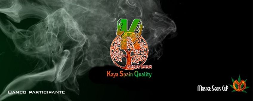 RevistaYerba's tweet photo. .@kayaspainqualit Banco de semillas oficial de la #MasterSeedsCup 2016 España https://t.co/awIXWXVcY6 https://t.co/cyB8XOMqCi
