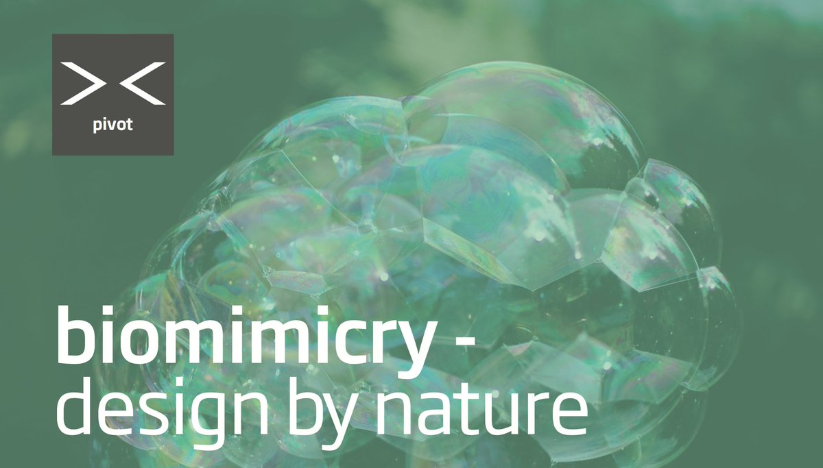 morefromless_'s tweet image. BIOMIMICRY: be inspired by nature. #design #inspiration #packagingconsultant #sustainable #closedloop morefromlessglobal.com/blog/Perspecti…