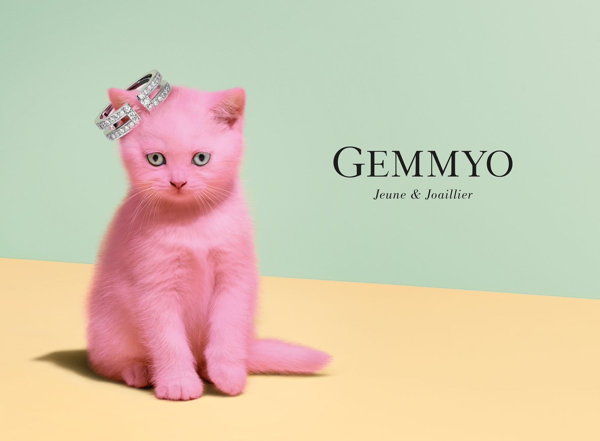 Clothetome's tweet photo. Nous avons rencontré Pauline la fondatrice de @GemmyoParis 💍🐱 Son itw et ses conseils sont ici : https://t.co/7fZHVJziIj https://t.co/jesvWxwf8o