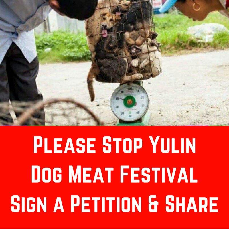 Help 2 #StopYulinForever Sign Petition &amp; #RT chn.ge/1xz71qH #dogs #China #AnimalRights <a href="/LiaSnijders/">Hulphond Buddy</a>