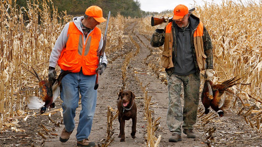 thanks4hunting's tweet photo. Hunters' Contributions to U.S. Wildlife Conservation https://t.co/TMa4iAZPdJ https://t.co/SvjIlOIEFL