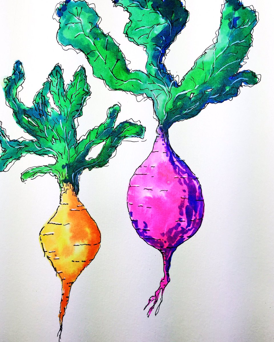 fernspikeart's tweet photo. #thebeetgoeson 
I love me some food illustration. 
From my #365daysofartchallenge https://t.co/fGUaywvUYH