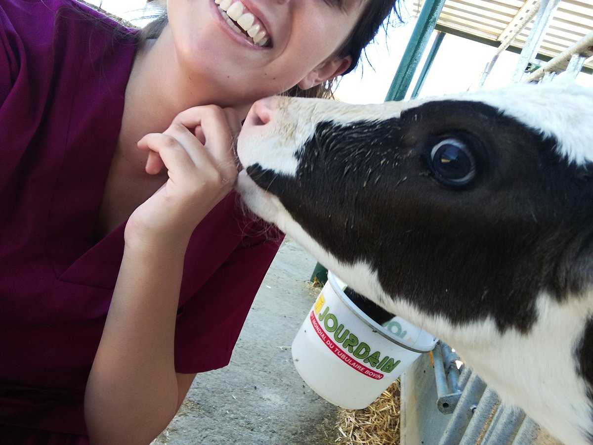 ᥴꪖ᥅ꪑꫀꪀ 🕉️ tweet media