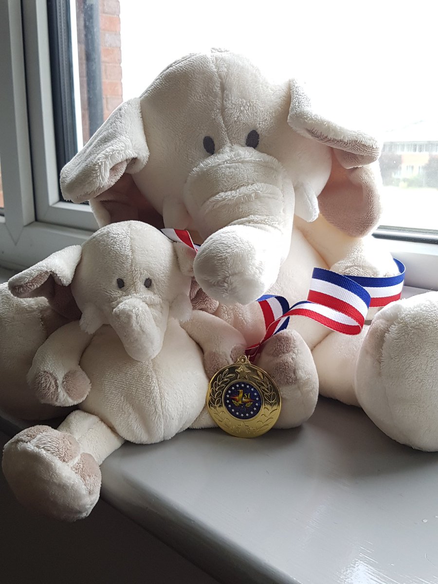 dromerogtz's tweet photo. @academycsnw Great job #TeamElephant. Bringing home the gold. https://t.co/jvmlOlOk0s