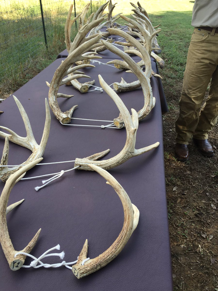 Jimmy Kight tweet media