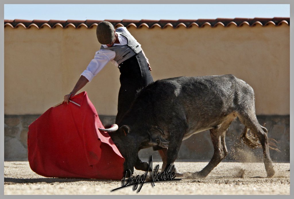L.L.L (@ludolelong) on Twitter photo Hoy Tentadero en <a href="/victorinotoros/">Victorino Martin</a> con <a href="/emiliodejusto/">Emilio de Justo</a>. Como no podía ser de otra forma, serio y importante en todos los sentidos!
#1octubre Hoy Tentadero en <a href="/victorinotoros/">Victorino Martin</a> con <a href="/emiliodejusto/">Emilio de Justo</a>. Como no podía ser de otra forma, serio y importante en todos los sentidos!
#1octubre