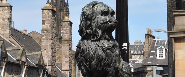 conventions's tweet photo. #PPSN2016 delegates looking to stay on in Edinburgh? We have itineraries suggestion here>https://t.co/vAcxsnJpgx https://t.co/vIduvrFB7C