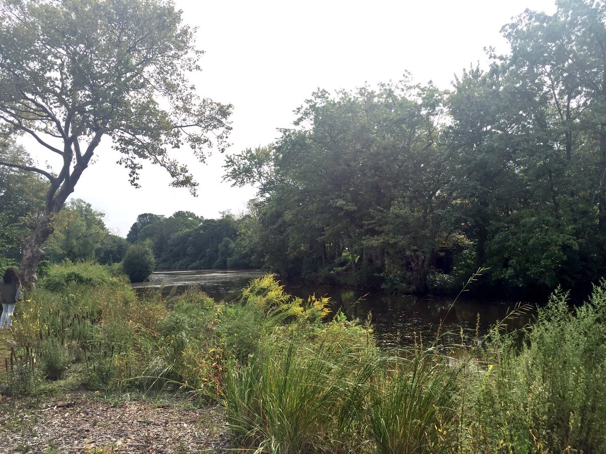 briellefmu's tweet photo. #MUFYSEco went to Takanassee Lake Park today for class, found some beautiful things! https://t.co/kAEZdDfDKO
