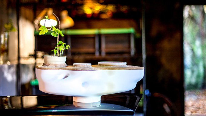 GreenGadgetsDE's tweet photo. Regenwürmer verwandeln in eurer Wohnung vielleicht bald Bioabfälle in Erde. #Biovessel macht's möglich. #kompost
https://t.co/0r42xHbTxb https://t.co/dTgHjZ2U9L