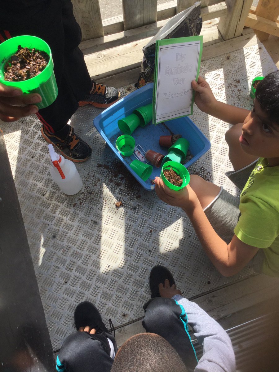 mrscookesclass3's tweet photo. Planting our germinating bean seeds today. Ready to watch what grows next @EldoradoPDSB #3a2016 https://t.co/QleF3TF9kM