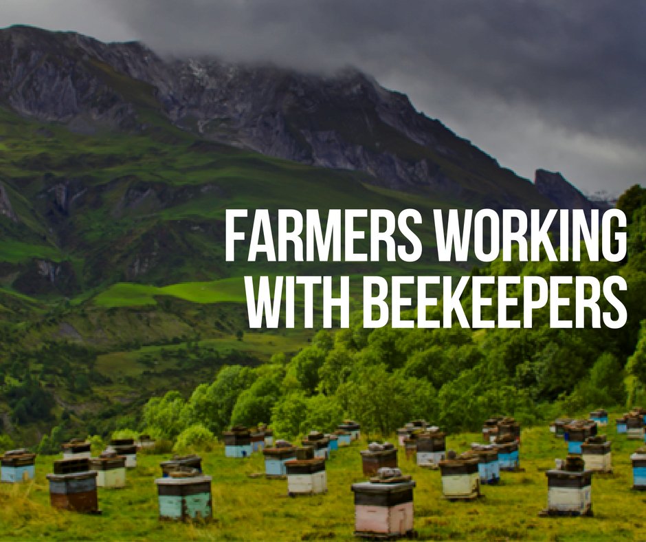 IntlHoneyProd's tweet photo. Farmers in #NewZealand know there's more to #bees than #honey https://t.co/bMbTermWsf https://t.co/tgJgi8CRU8