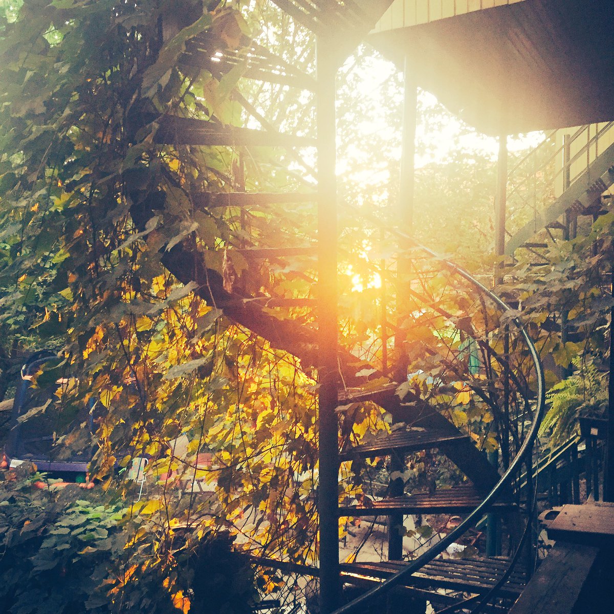 harmhunter's tweet image. Good morning @Montreal!The #presscheck 4 the 2017 @TravelYukon vacay planner has officially begun!@aasmanonpurpose