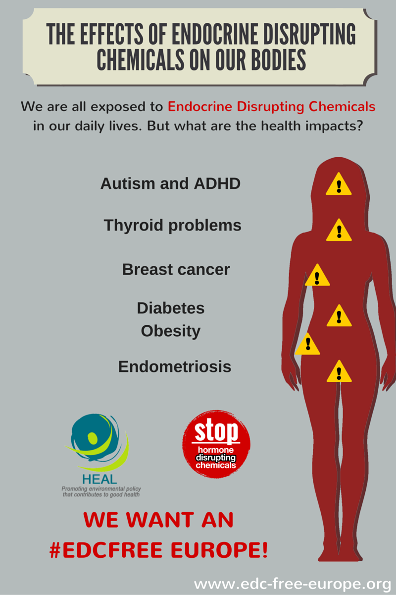 #EndocrineDisruptors can have many negative impacts on your health. Let's work towards an #EDCFree Europe! edc-free-europe.org #EUEDC