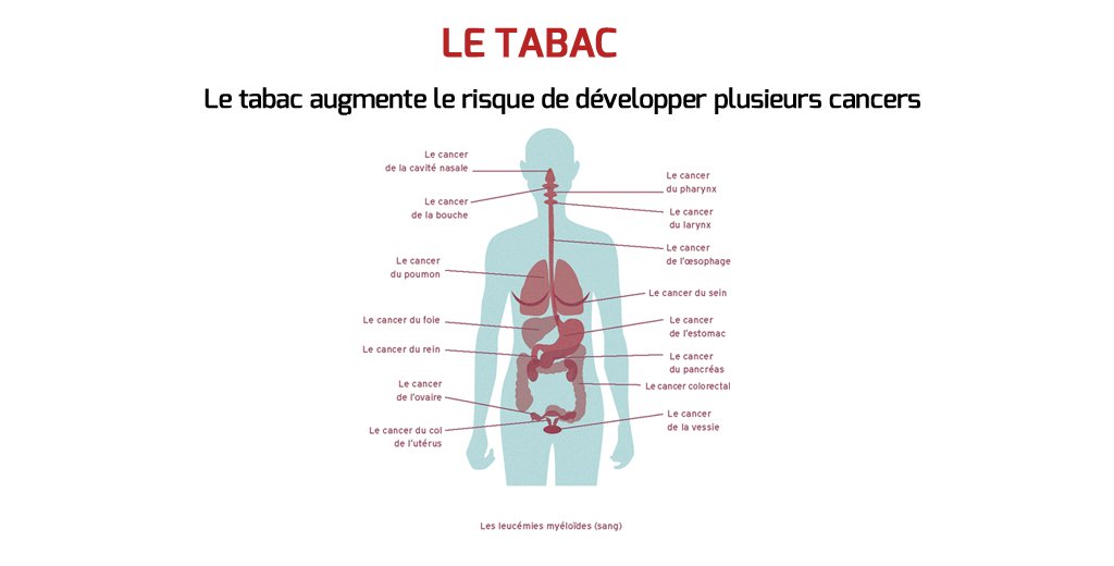 #LSV : le tabac est la première cause de mortalité évitable par cancer ow.ly/vckw304pXPW #préventioncancers