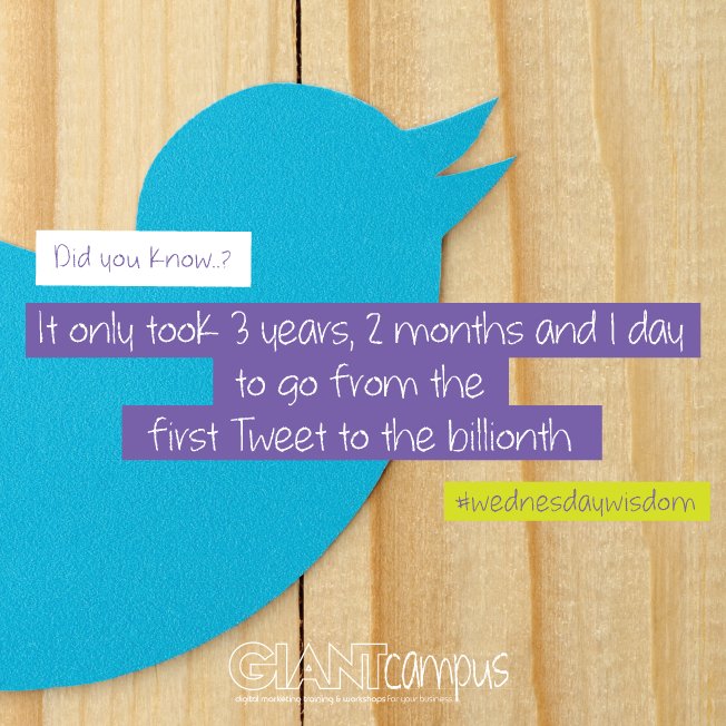 It didn't take long for this bird to take flight #wednesdaywisdom #twitter