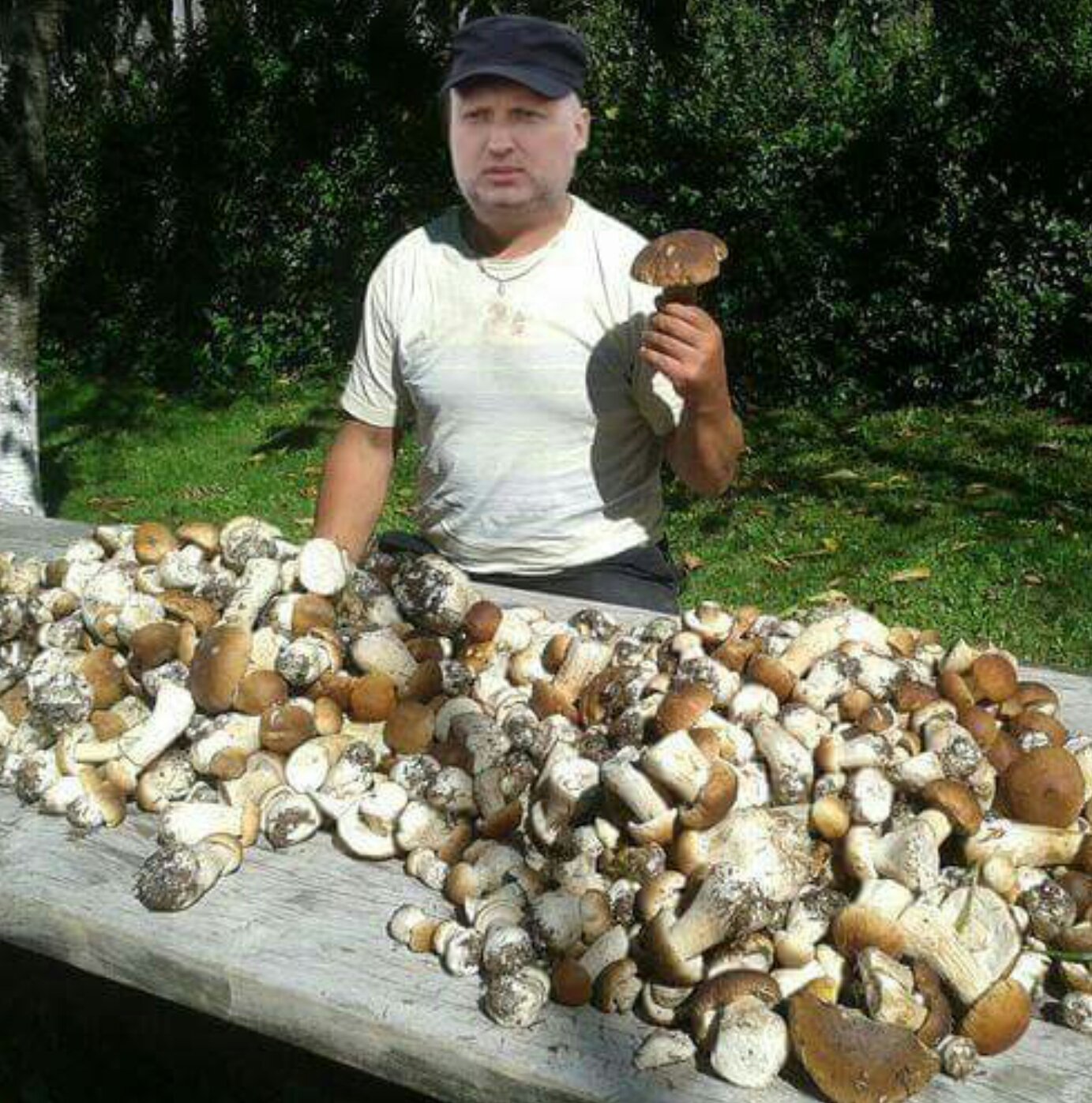 Продают грибы