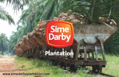 greenpalmoil's tweet photo. Lrrgest sustainable palm oil producer Sime Darby announces responsible agriculture charter + intention to join POIG https://t.co/gPh9umn9ZY https://t.co/rZ2zcapS5P