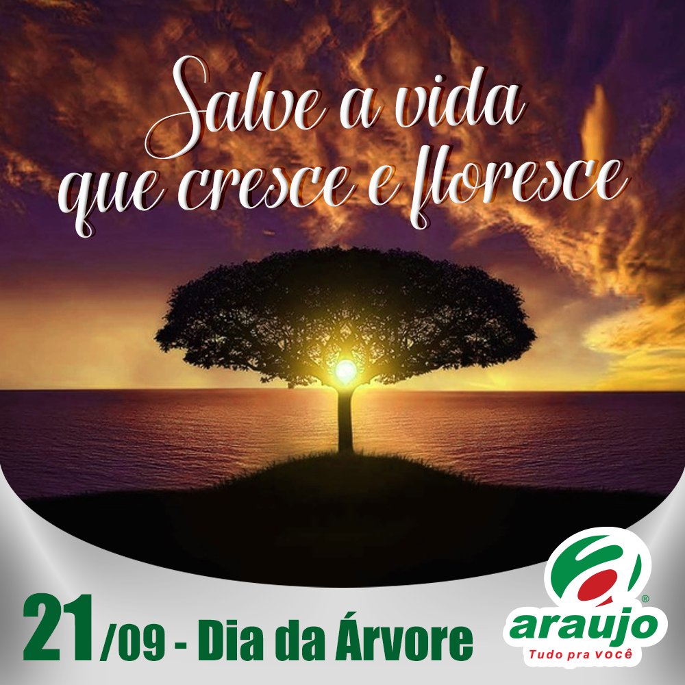 araujosuper (@araujosuper) on Twitter photo 