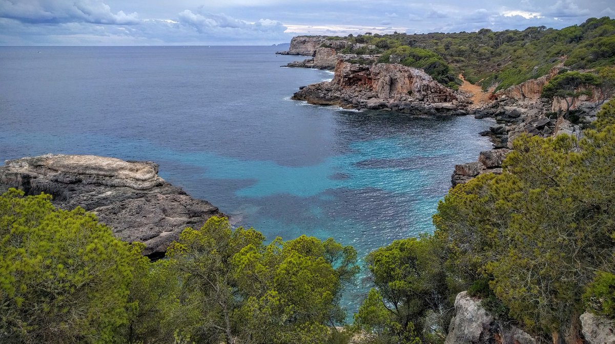 SIMPLEMENTE ESPECTACULAR!! #calasalmunia #mallorca  #paisajenatural #unlimitedmallorca #Mediterraneo #balears #summerinspain #islas