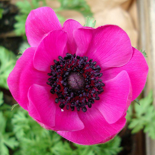 La passione per il giardinaggio non sfiorisce mai all'@Orticolario di <a href="/VillaErba/">Villa Erba</a>! bit.ly/2d8lUNg <a href="/ri_crea/">Ri-Crea coaching & consulting srls</a> <a href="/EmilioDellaNoce/">Ymo</a>