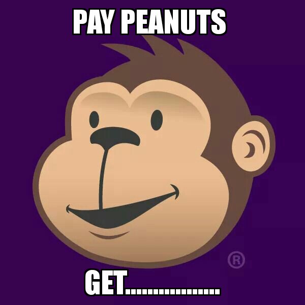 Ashley Turner tweet media