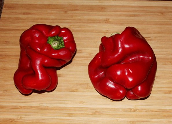 ChefsArsenal's tweet photo. Seeing the beauty in "ugly" produce https://t.co/Yh8FkKGu6j #Produce #ChefsArsenal https://t.co/kDB6pEmYff https://t.co/EnGNVAymRY