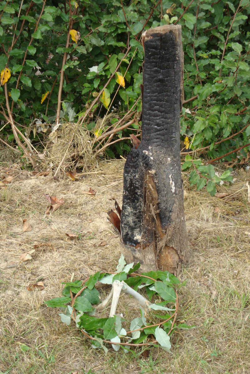 GisidoLARP's tweet image. By the way, here's a few photos from our latest #LARP event at Chief Logan Reservation in Ray, Ohio.