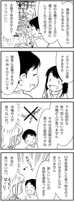 今日のブログ更新、海ぶどうに関して一番ビックリをしたところ+「シンガポールオタク漫画家、日本をめざす」フー・スウィ・チンさんの単行本オススメです! 