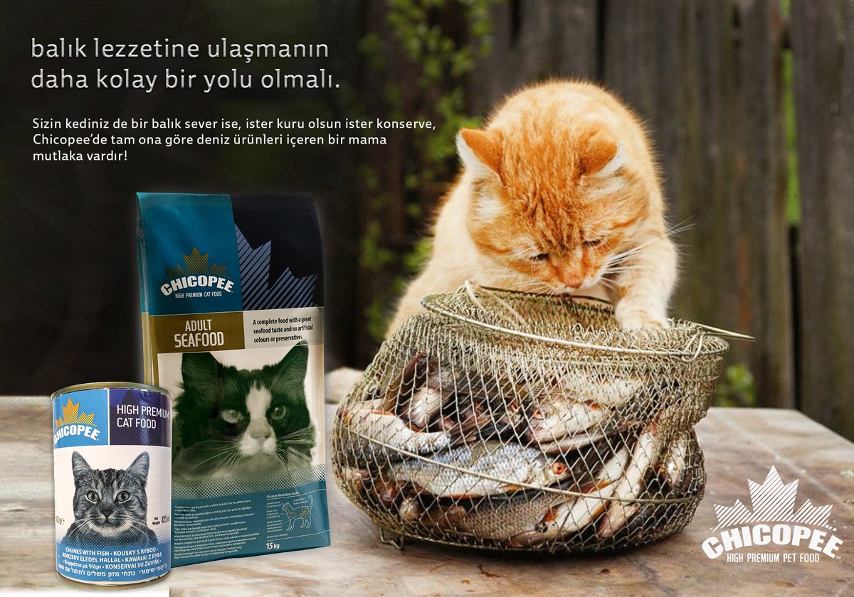 Balık lezzetine ulaşmanın mutlaka daha kolay ve sağlıklı bir yolu vardır :) #chicopee #mragroup #balıklıkedimaması #konservemama #kurumama