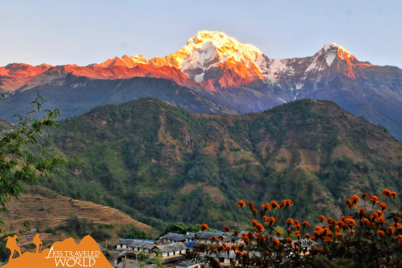 lesstravworld's tweet photo. A view of #Annapurna range from #Ghandruk in #Nepal #Himalayas #trekking #LessTraveledWorld #photography #landscape #wanderlust #backpacking https://t.co/Q8IjE8c9cT