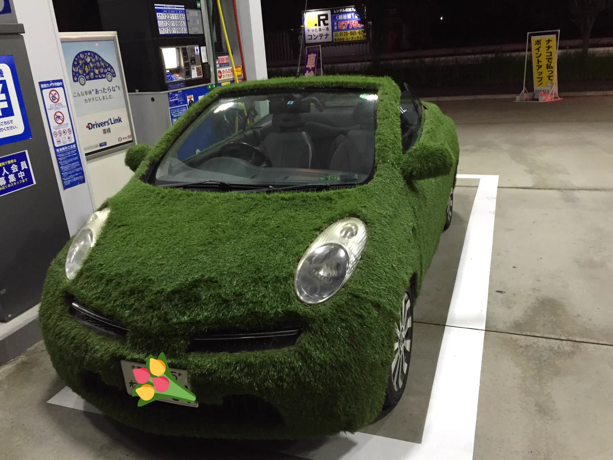 個性的すぎじゃない？ｗ車に草はえてるんですけどｗｗ