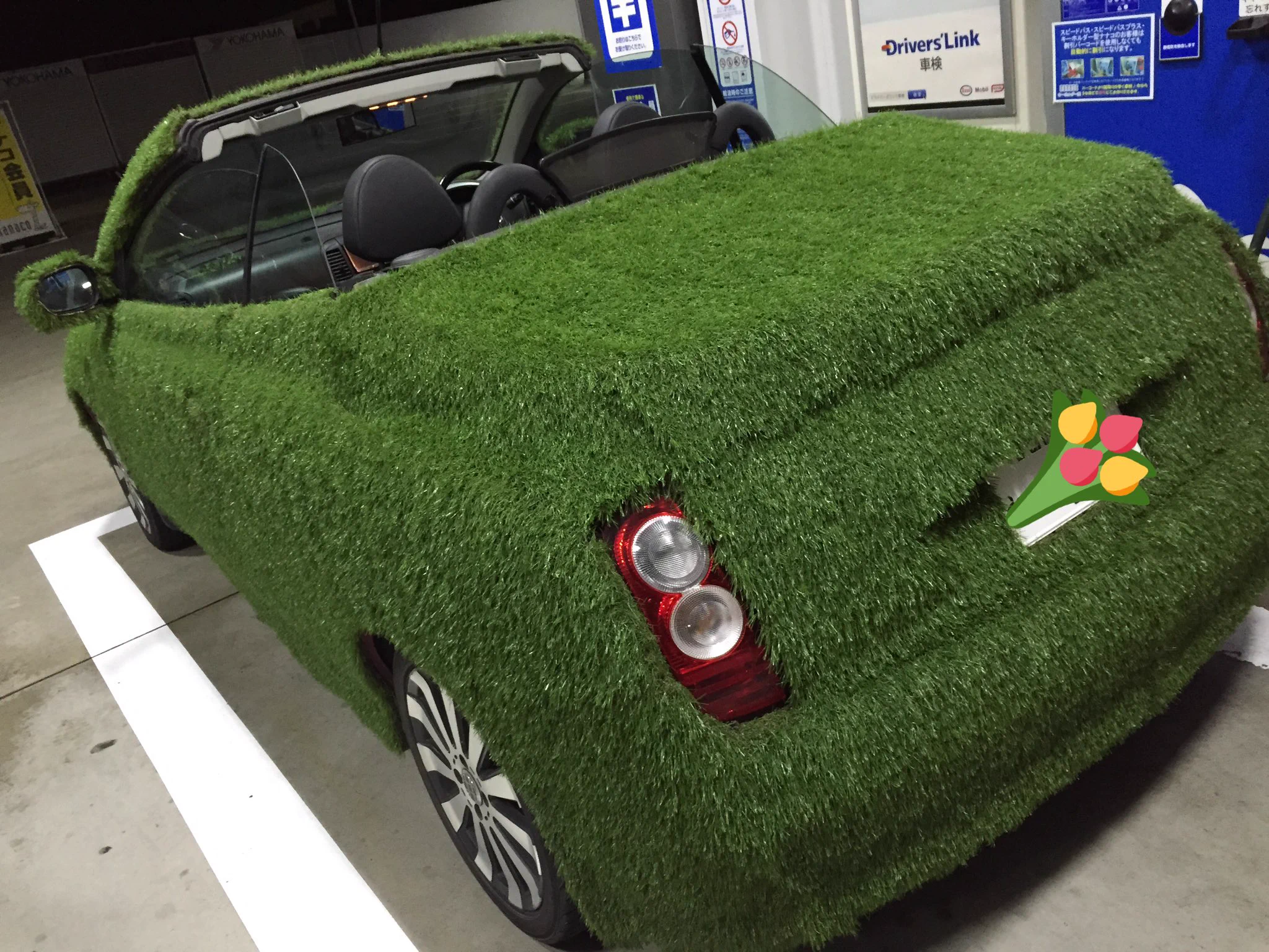 個性的すぎじゃない？ｗ車に草はえてるんですけどｗｗ