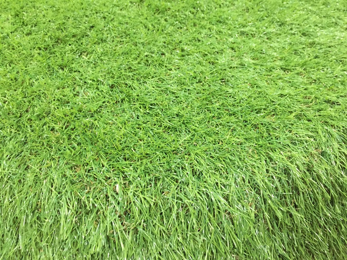 ガソリンスタンドに寄ったら草生えてた これは草生える まごうことなき草 Togetter