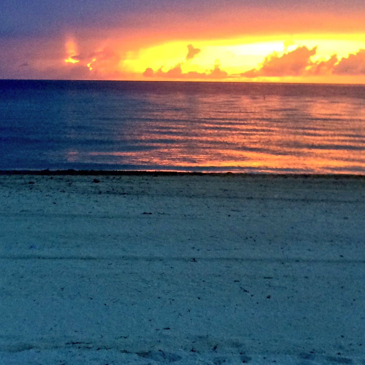 San3113Sg's tweet photo. #GoodMorningWorld #hellomiami #MiamiBeach #Florida #BlessedAndGrateful for all in my #life #lifebeach #HappyLife #blessforeveryone πβΊοΈππ»πβ€οΈπ― https://t.co/1f9Ax6szg8