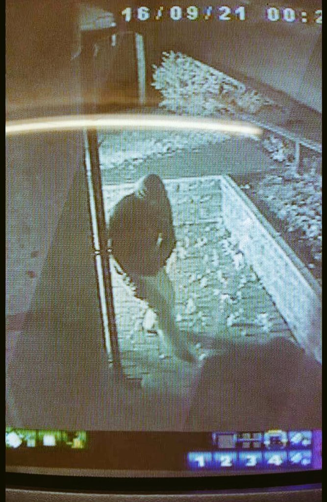Cameramal's tweet photo. These two may have vital information following a suspected arson attack on @Italrestaurant last night ☎101 @BBCLeeds @BBCLookNorth https://t.co/FrOluWXOIt