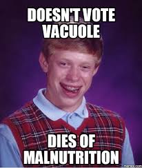 Senator_Vacuole's tweet photo. @Chloro4prez2016 @murphyapbio https://t.co/P6dLcymrzZ